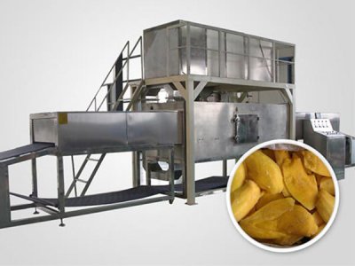 休閑食品微波殺菌設(shè)備的特點有哪些?