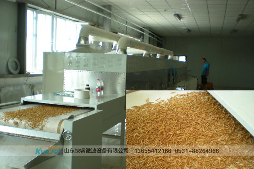 微波農(nóng)副產(chǎn)品行業(yè)設(shè)備