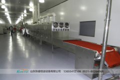 微波殺菌設(shè)備|滅菌與消毒