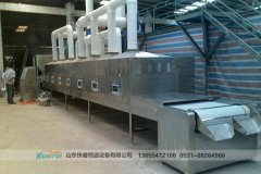 微波干燥機(jī)原理技術(shù)
