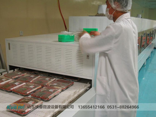 微波烘干設備