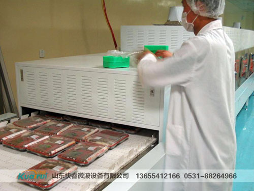 微波殺菌設(shè)備
