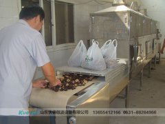 專業(yè),微波,干燥設(shè)備,好處,甚多,對(duì)于,微波, 