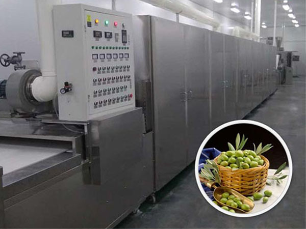 微波殺菌設(shè)備