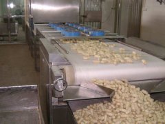 微波干燥設(shè)備在食品業(yè)的優(yōu)勢足以讓球員吃到健康食品